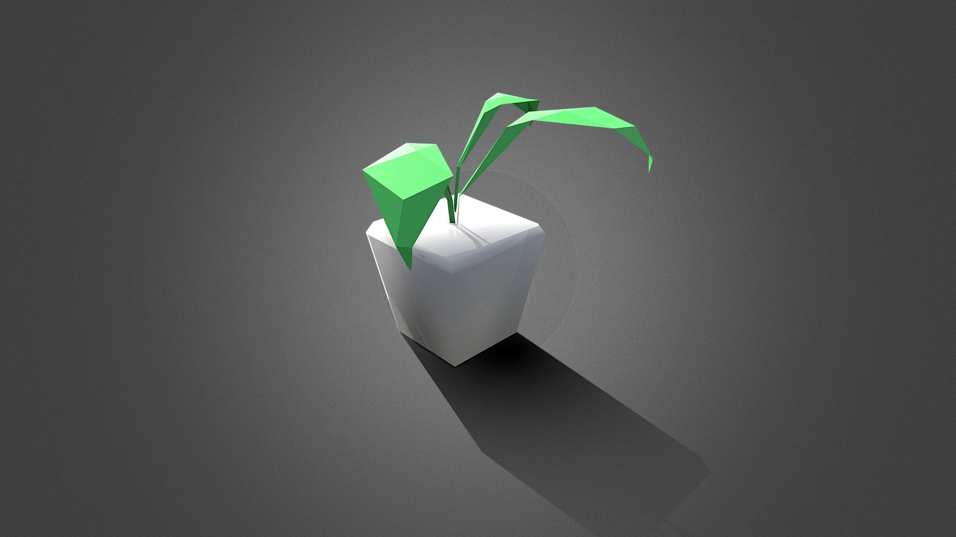 House Plant - Low Poly