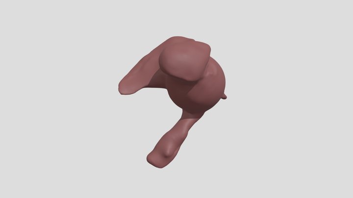 Bireiha 3D Model