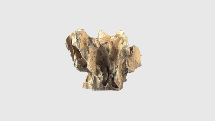 Careg 010 3D Model