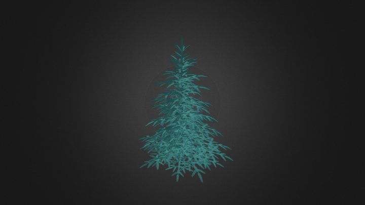 Blue Spruce (Picea pungens) 2.6m 3D Model
