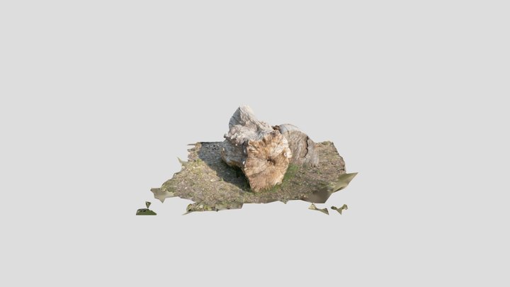 Log 3D Model