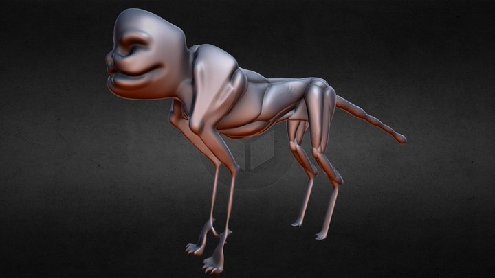 spinebody 3D Model