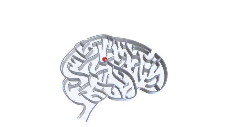 Brain Maze Thin 3D Model