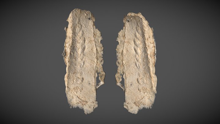 Estampage n°12 (caveaux de Naintré) – Modelo 3D gratuito STL