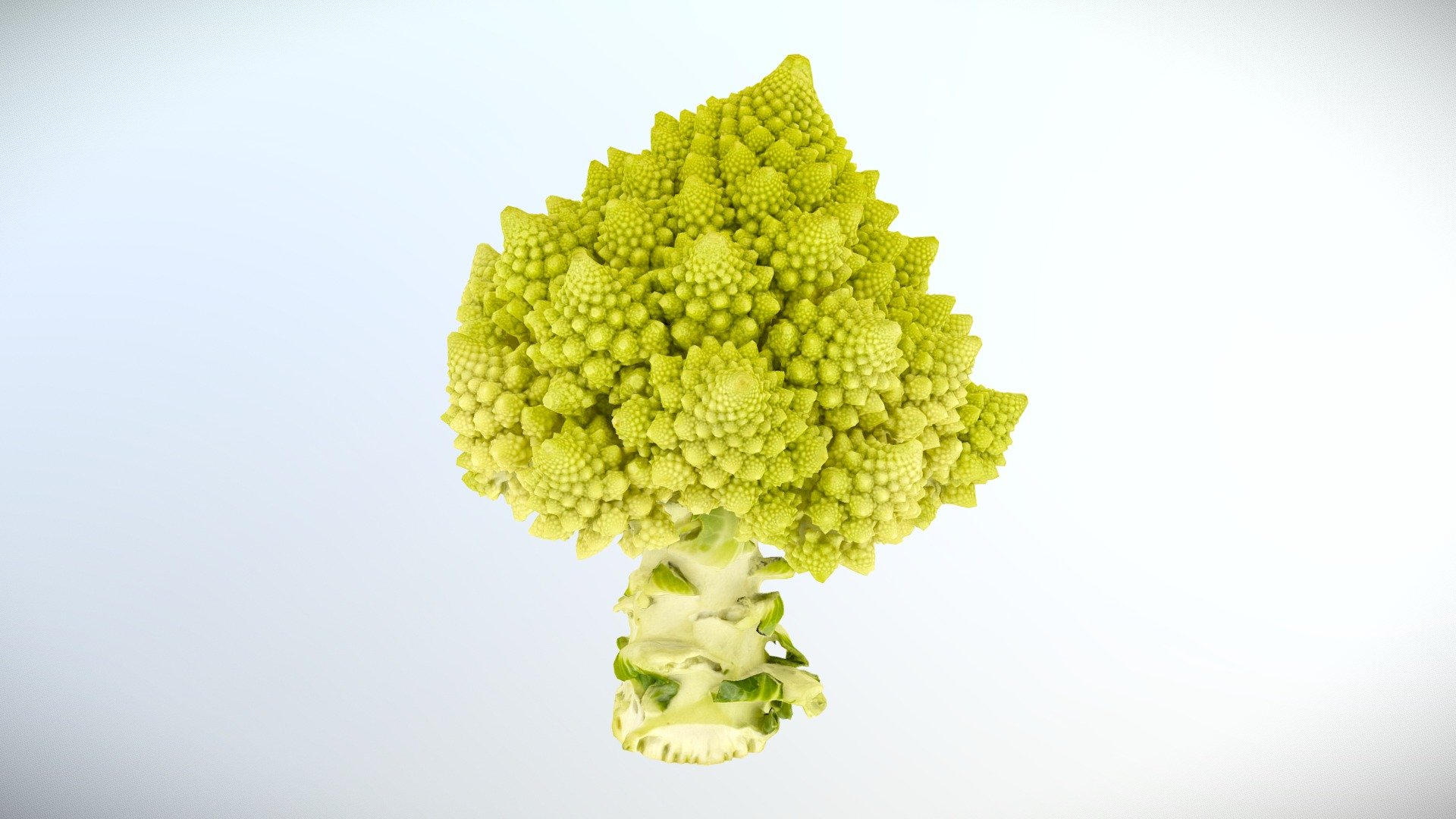 "Romanesco" 3D Scan RAW mesh sample (100K Poly)