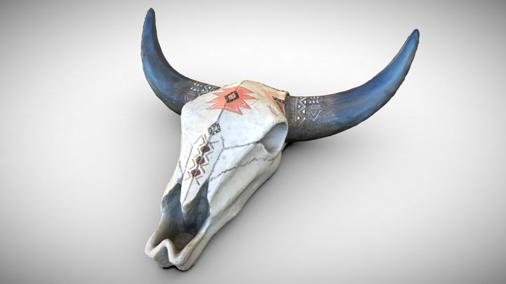 Decorative buffalo skull photogrammetry calavera 3D Model