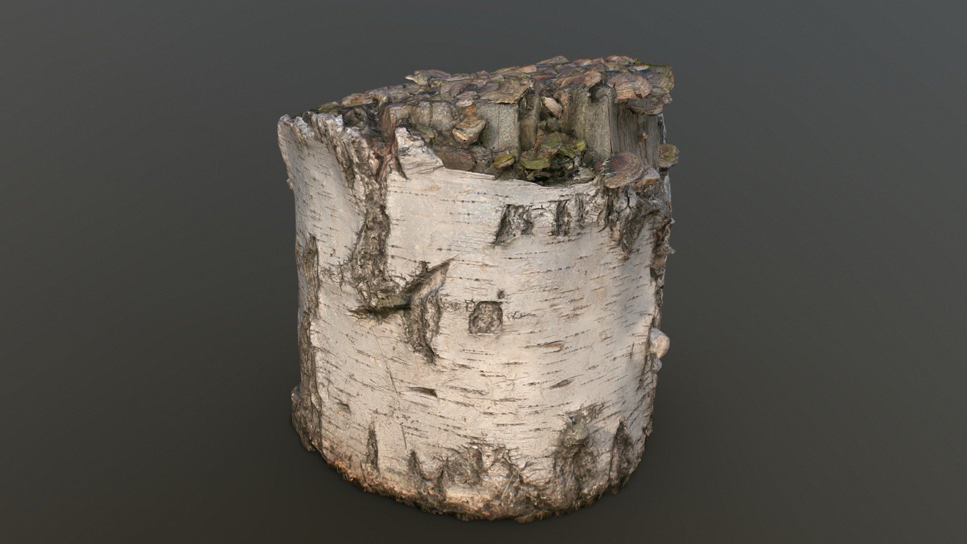 Old stump with mushrooms