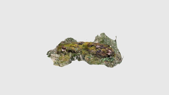 Mossy log 3D Model