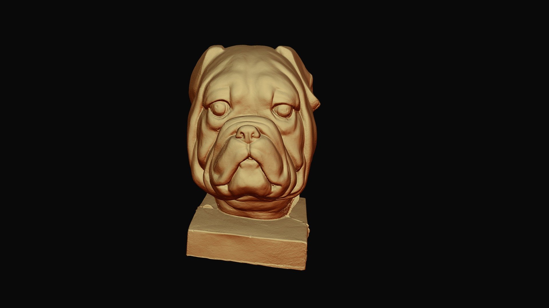 Bulldog - Download Free 3D model by Thunk3D [c5e1dfa] - Sketchfab