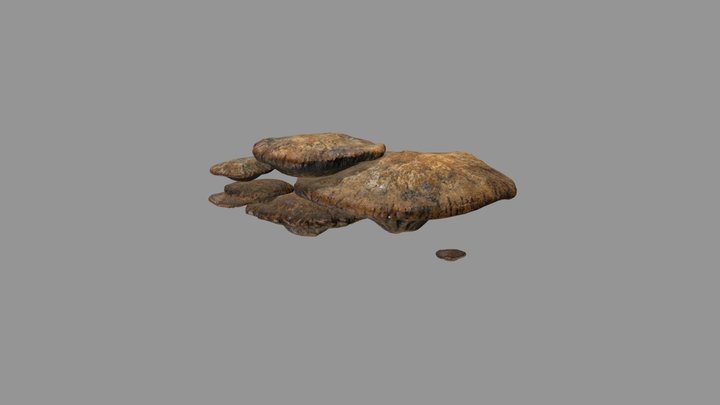 Mushroom 3D Model
