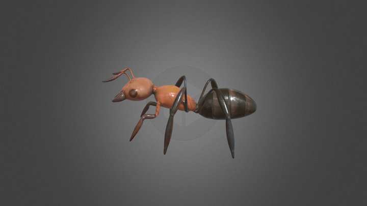 Ant 3D Model