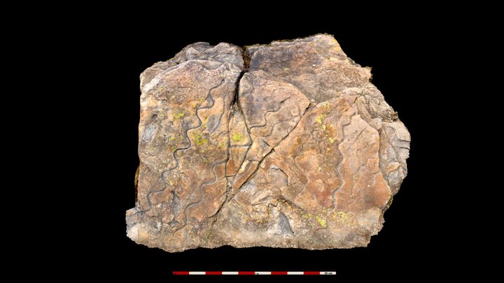 Petrograbado de las "siete" serpientes 3D Model