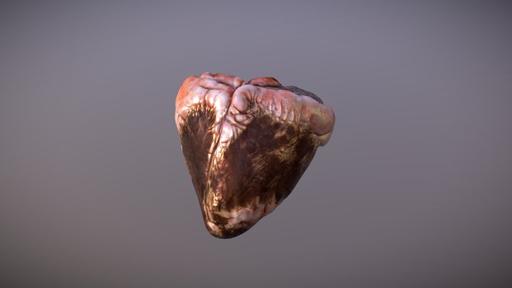 Heart_retop_test 3D Model