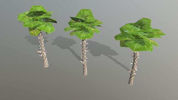 Low Poly Palm Trees 04 3D Model