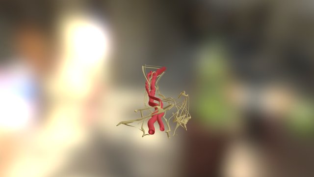 Arteria y Nervios 3D Model