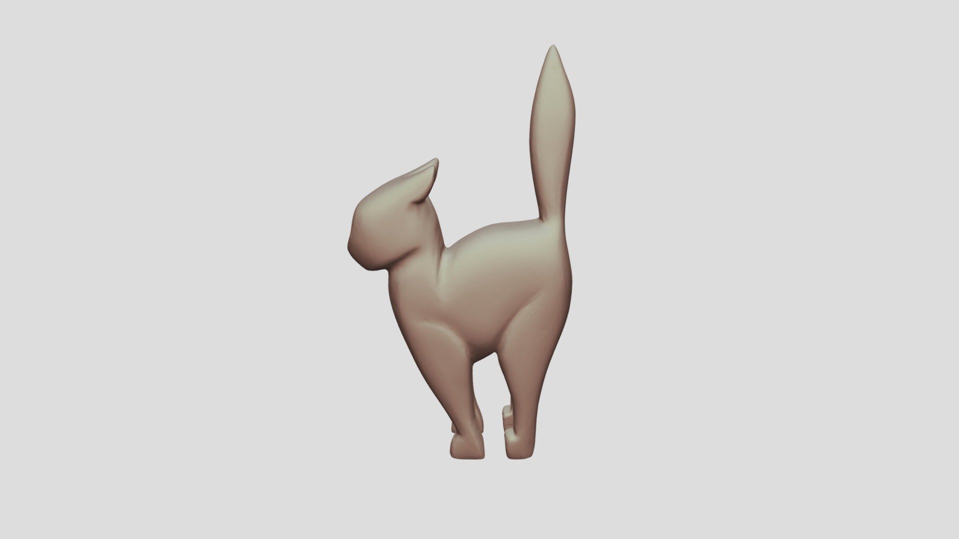 Cat standing wood