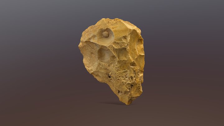 Silex Stone-Tool 3D Model