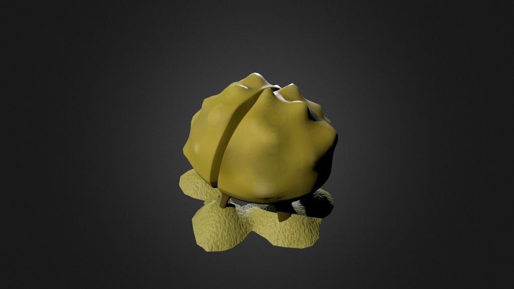 Model 4