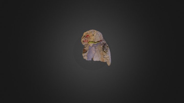 Pit2014 3D Model