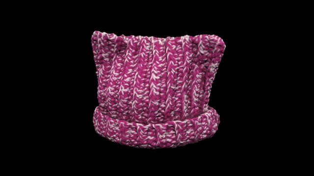 Pink Hat - Minneapolis - January 2017 3D Model