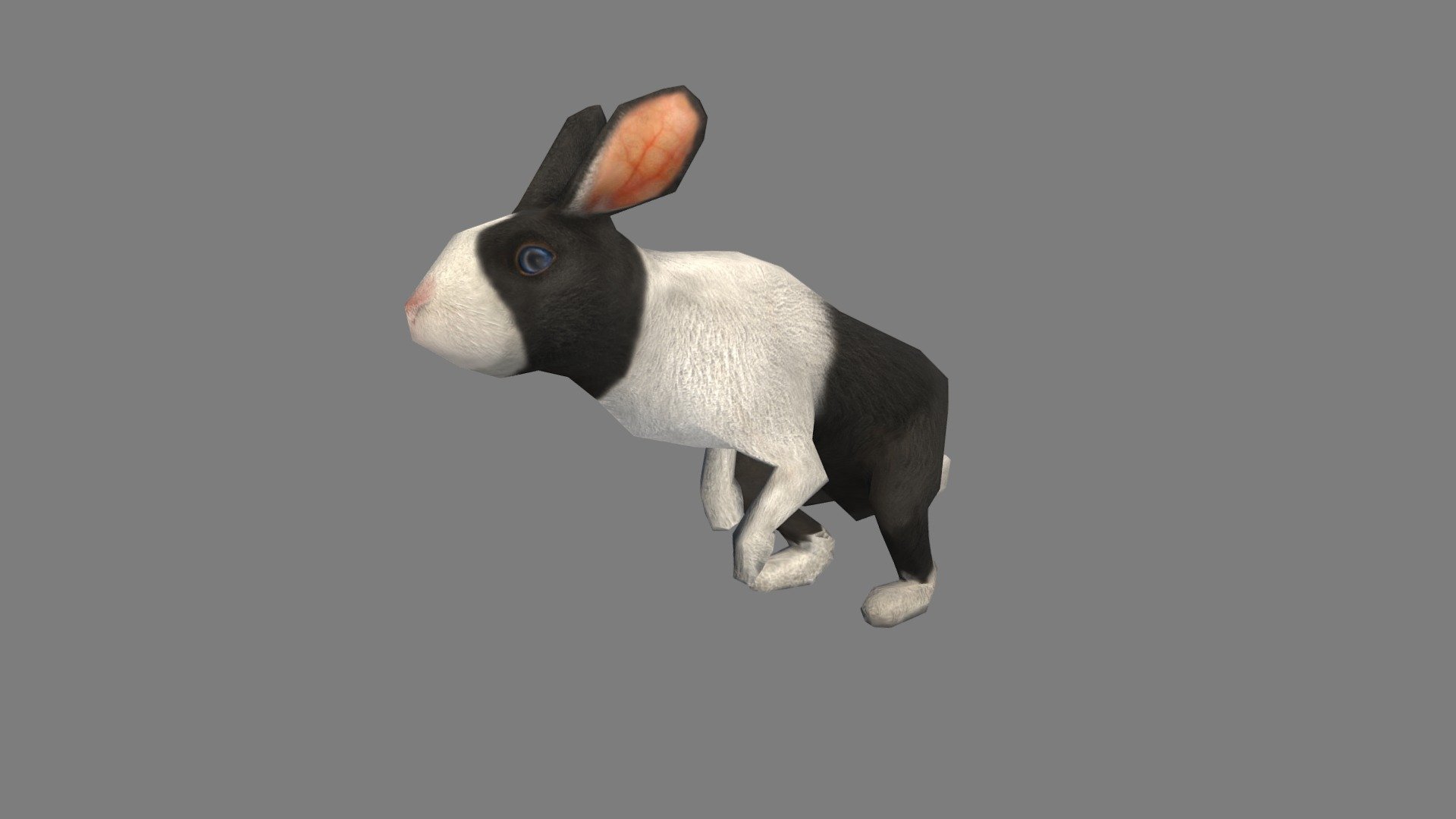 Rabbit - 3D model by josluat91 [c5fabb1] - Sketchfab