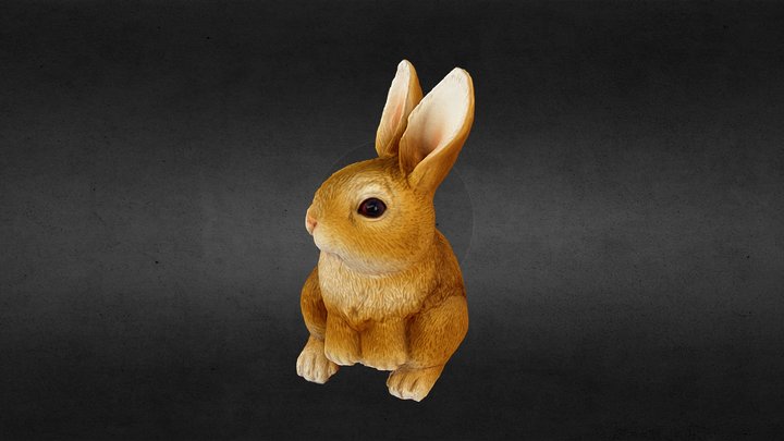 Rabbit 3D Model