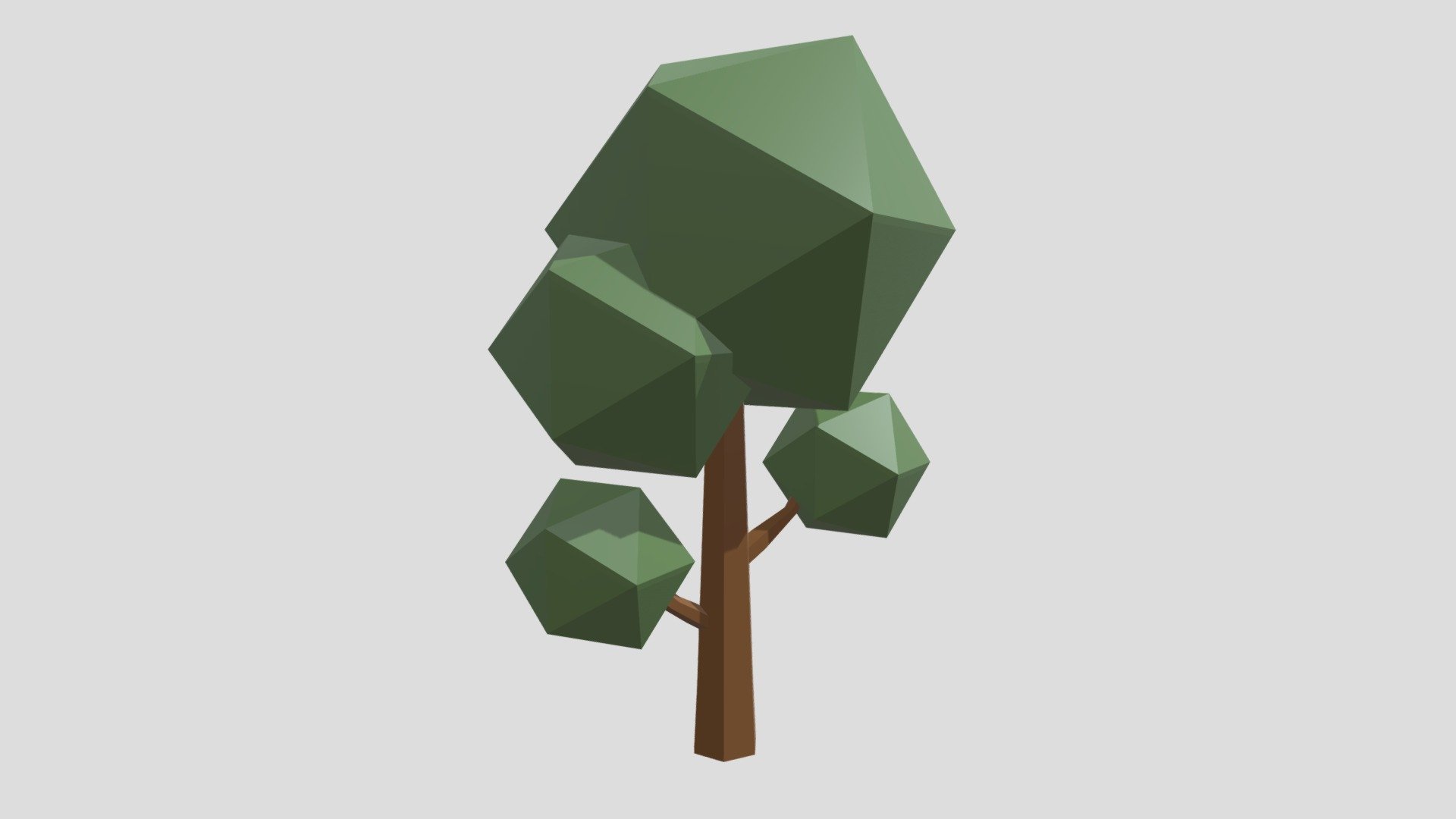 Tree_05