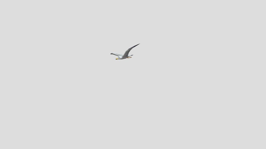 1 seagull