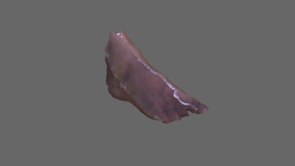 Foot Scanning Perspectiv 3D Scanner