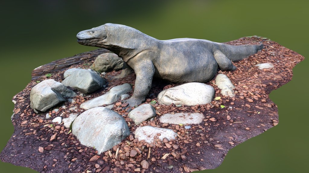 Komodo Dragon Weta Cave