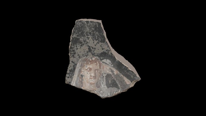 Painted wall fragment 13 3D Model