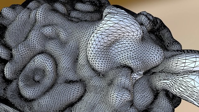 Maori Mask 3D Model