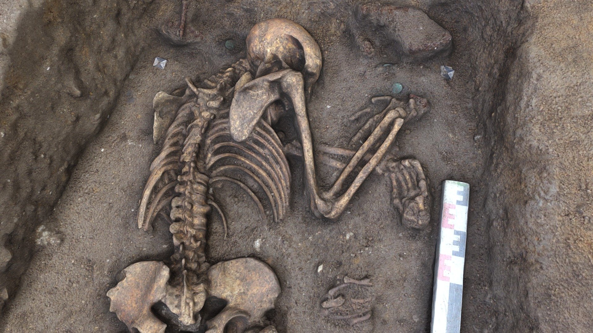 Inhumation gallo-romaine (F9509) — Sketchfab embed 3D viewer