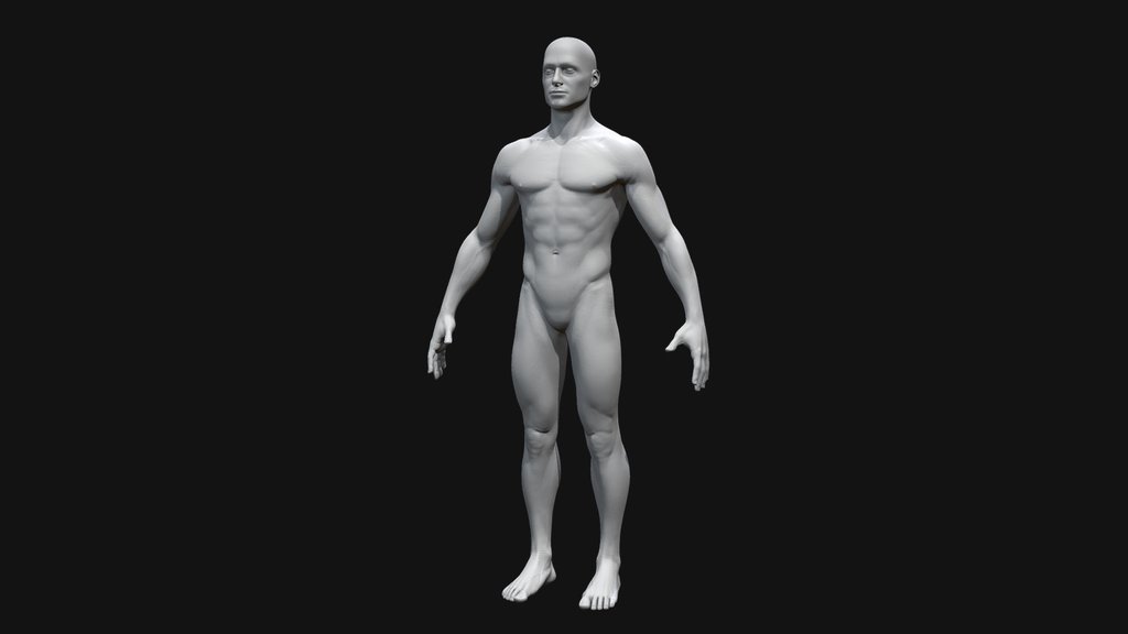 Male Base Model