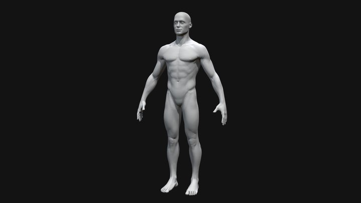 Male Base Model 3D Model