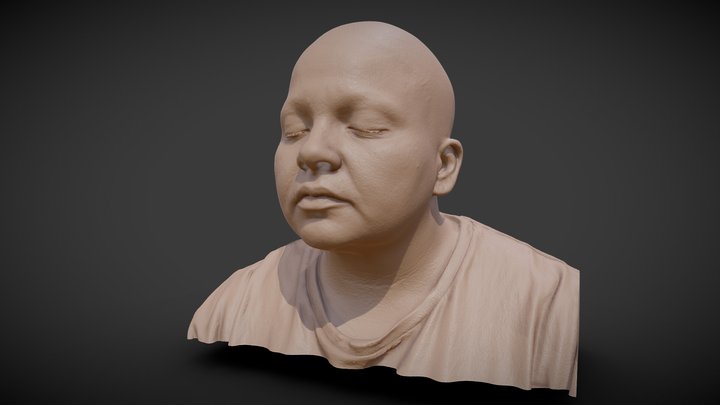 Femail Facial 3d Scan 3D Model