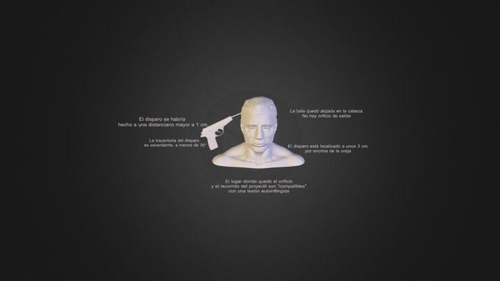 Infografia Nisman 3D Model