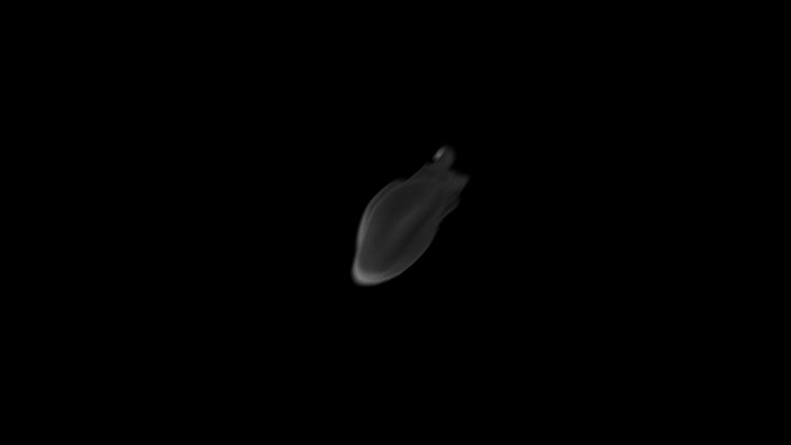 CT_Scan of a germinating Bean 3D Model