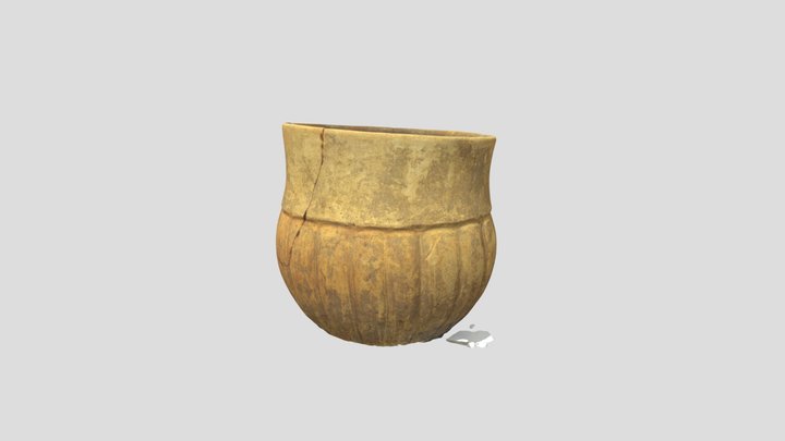 Cuenco polícromo con cuerpo acanalado 3D Model