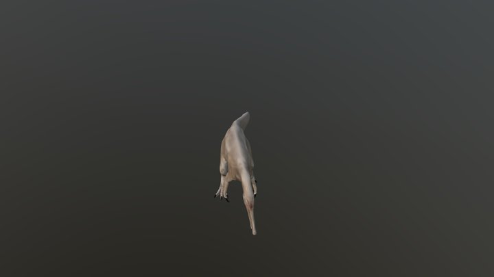 Ceratosuchops 3D Model
