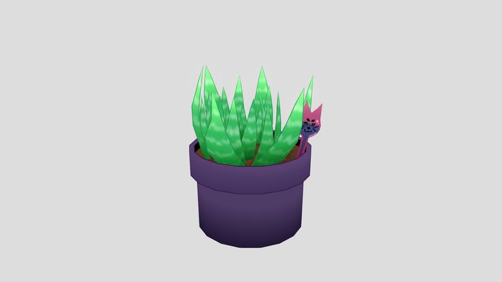 Hand painted Haworthia with cute water thingy 3D Model