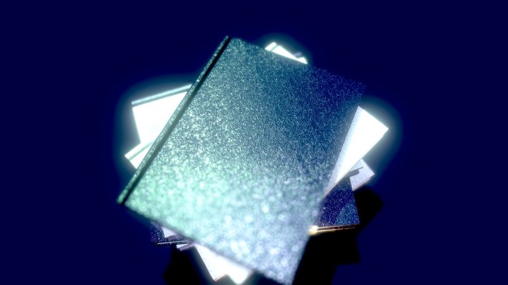 Just A Couple Of Books 3D Model