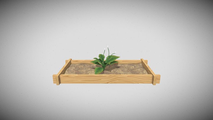 flower pot VN
