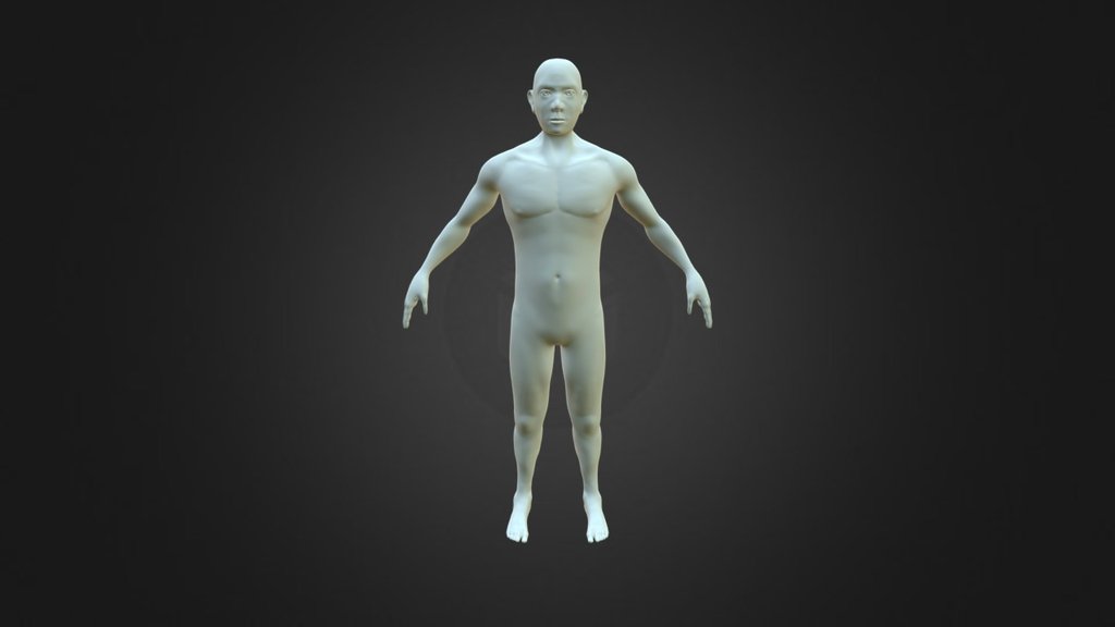 Week 1 Portfolio - Anatomy Sculpt