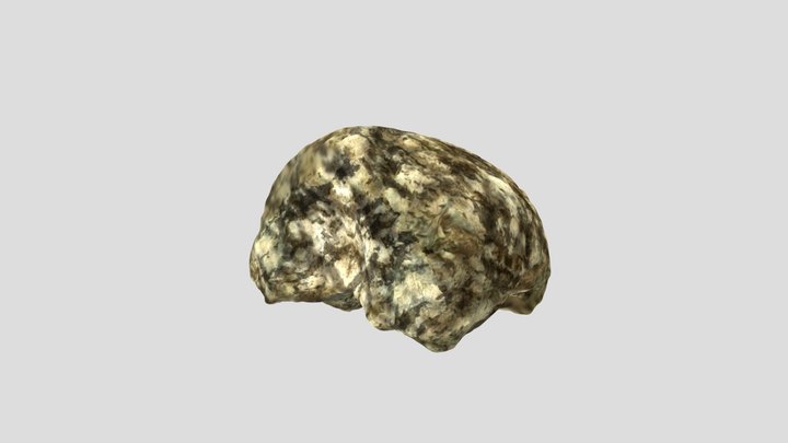 Fragment-of-a-neolithic-mallet_R5 (MFP) 3D Model