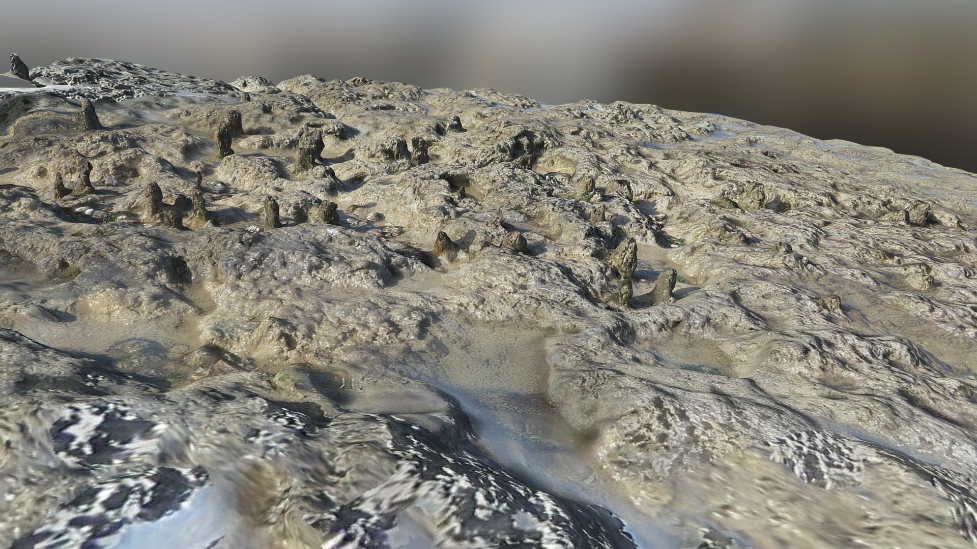 Possible Saxon fish trap section 2