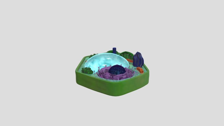 Plant Cell Organelles