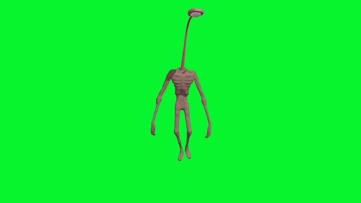 he do be walkin doe 3D Model