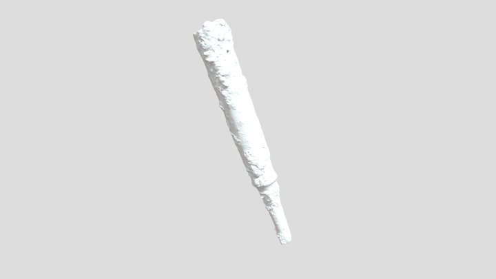 PUNTALE LANCIA 3D Model