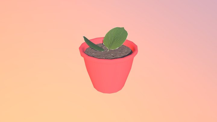 week8_plant 3D Model